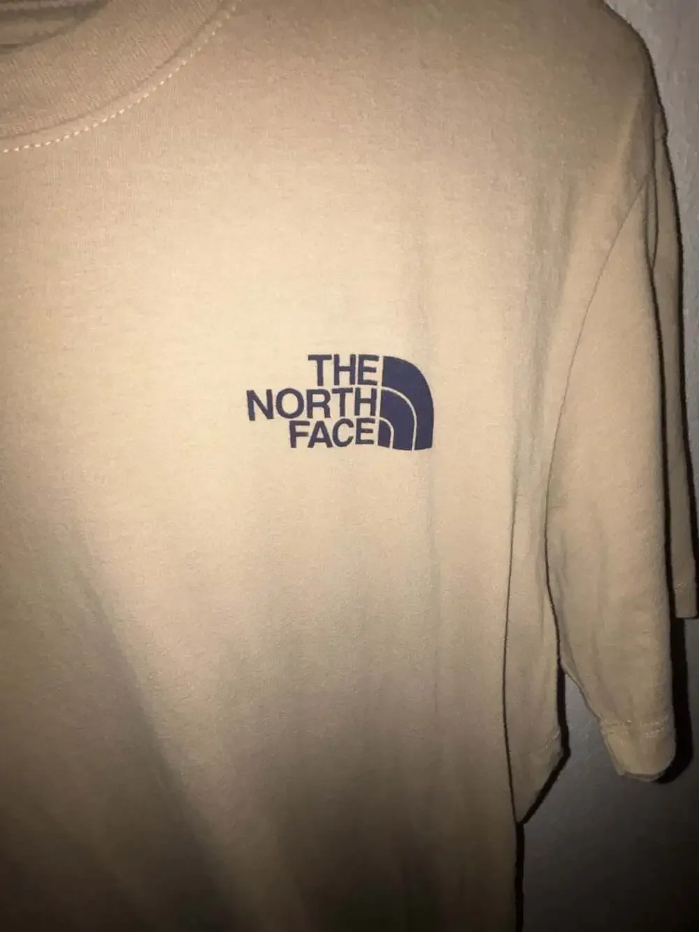 The North Face Men's Graphic Short Sleeve T-Shirt